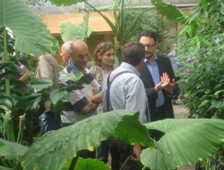  En el invernadero con Vito 